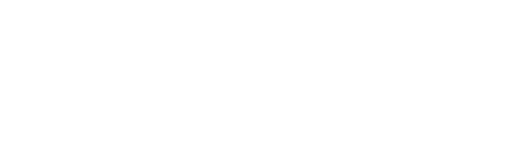 ARQ-Ai-Logo-Conservati_Hor_branco