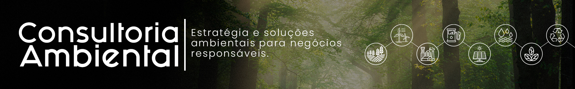 Consultoria Ambiental
